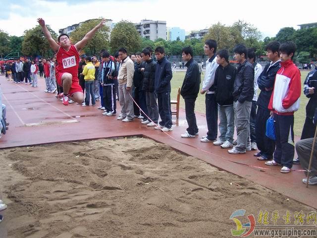 008.jpg 008.jpg